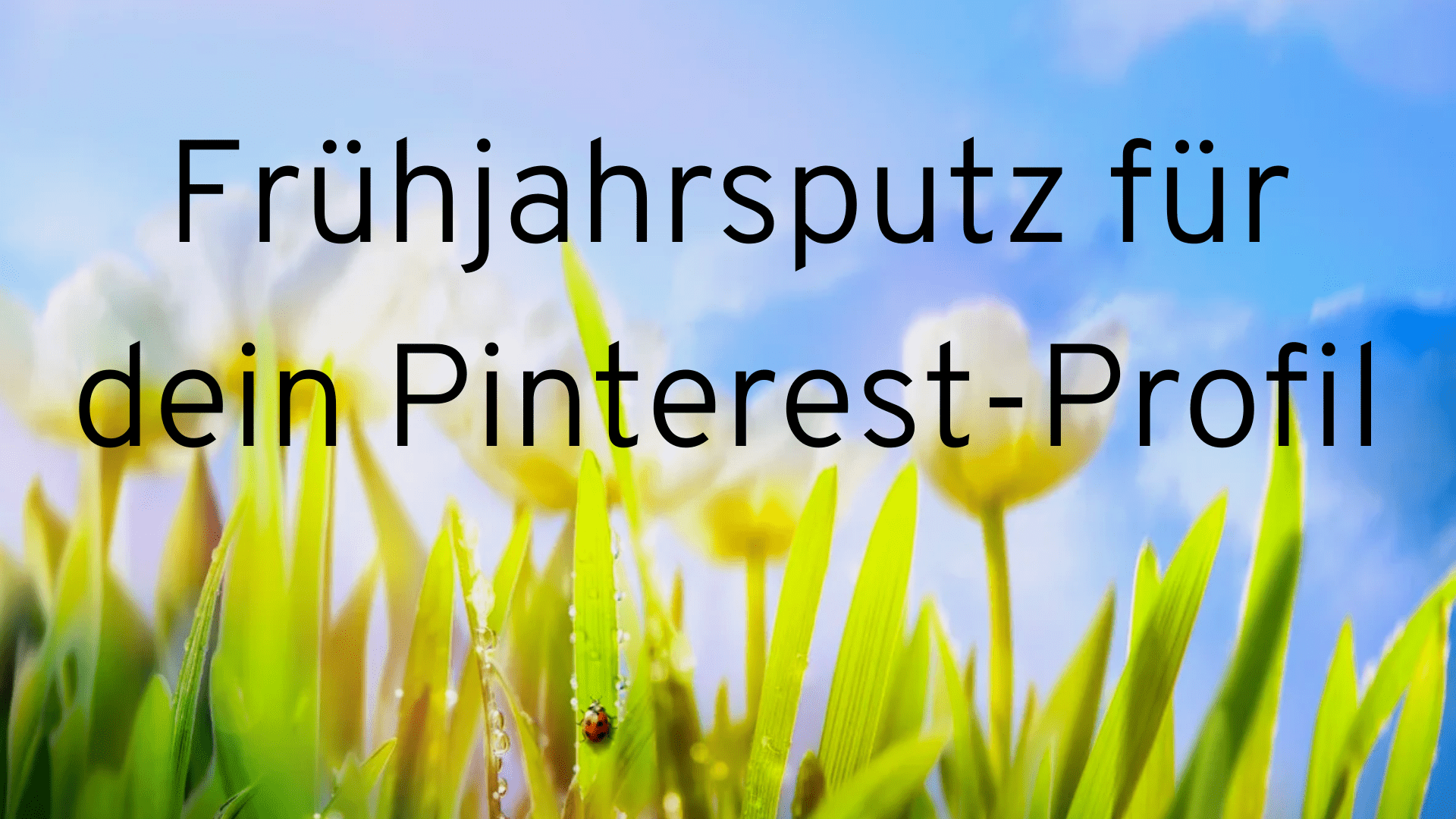 Wiese mit Blumen und dem Titel des Blogbeitrages: Frühjahrsputz für dein Pinterest Profil